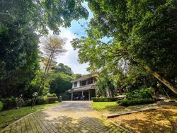 Duchess Avenue (D10), Detached #501666641